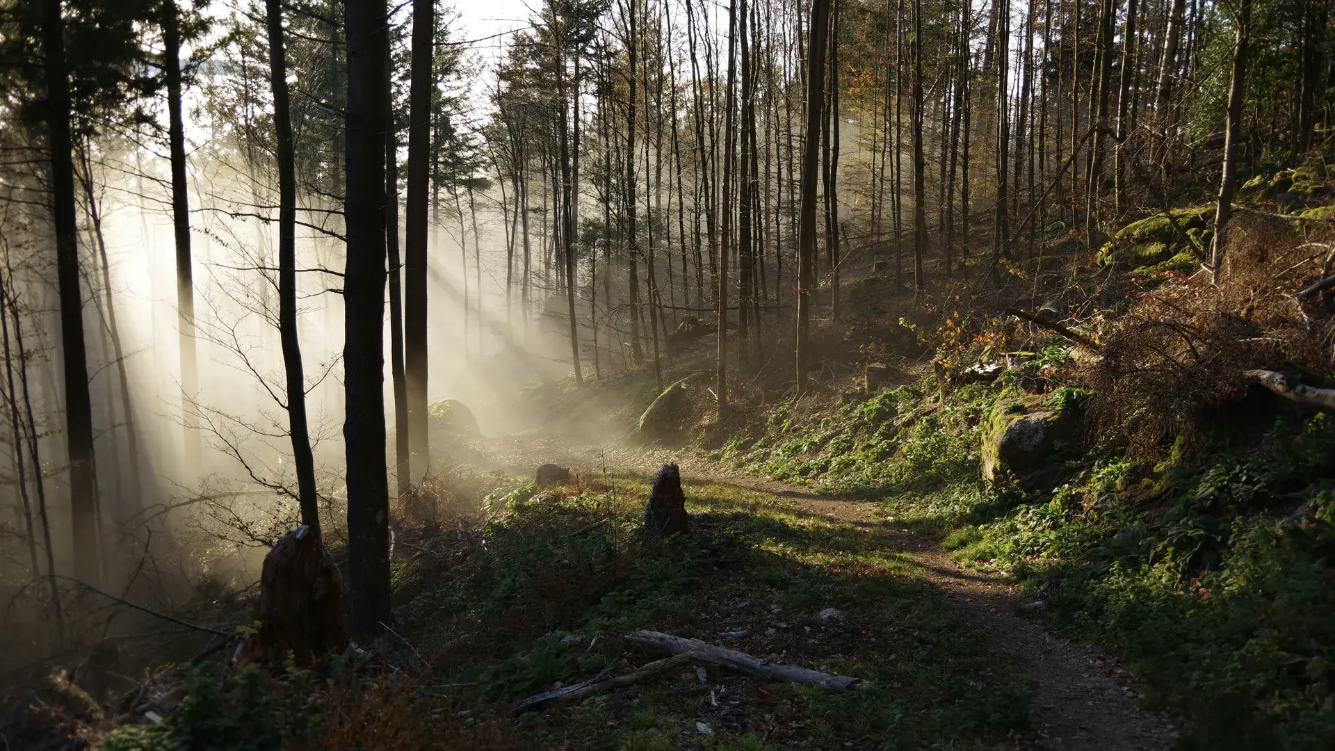 A couple sitting together discussing therapy and insurance options.