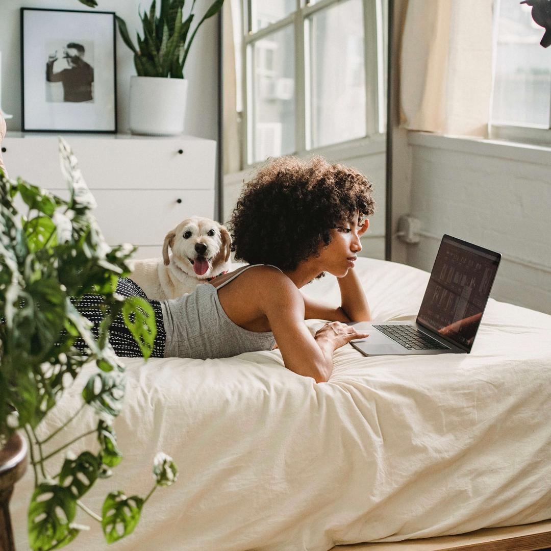 A person laying on a bed with dog studying on a small laptop looking perplexed