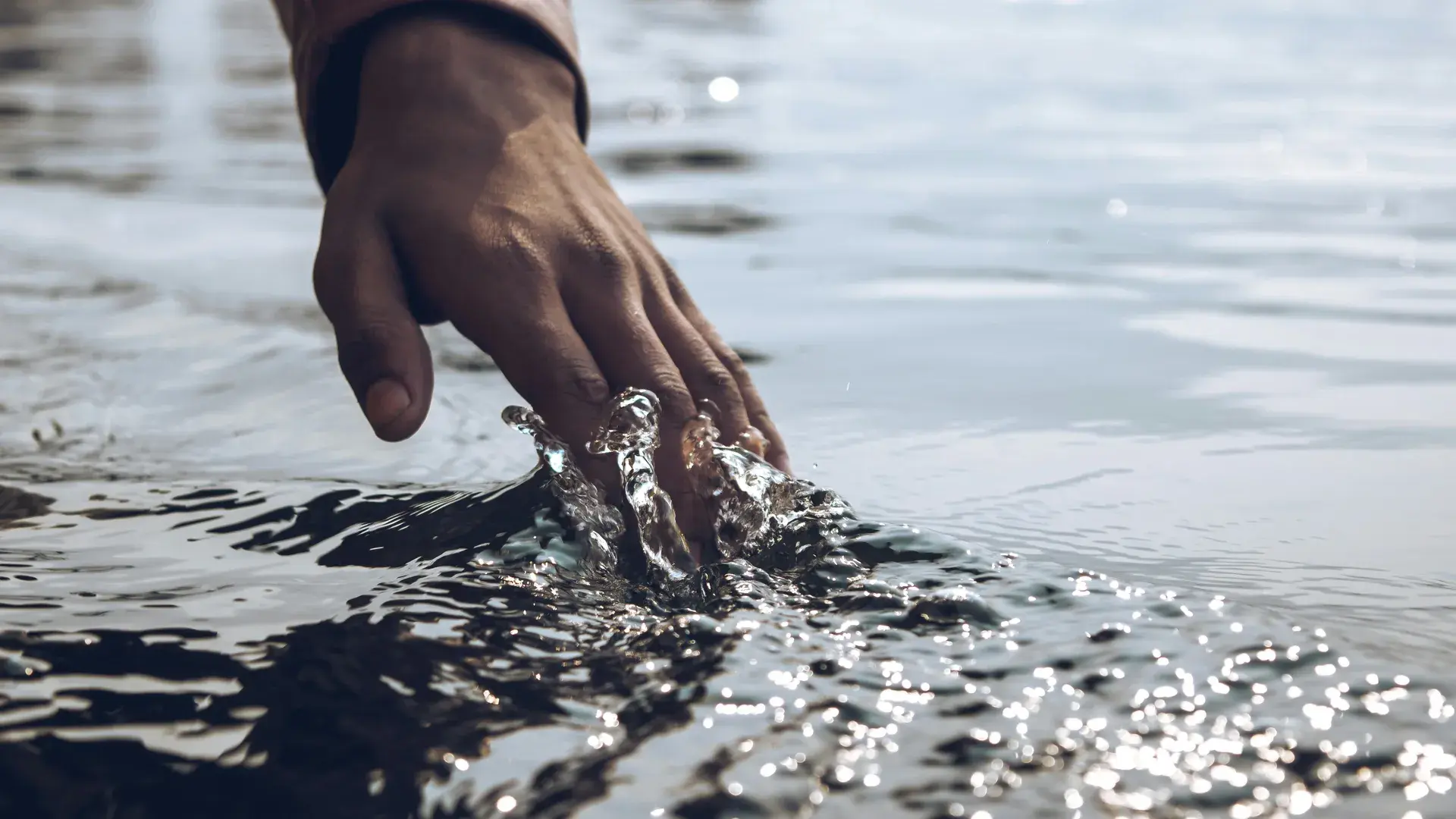 Long blades of wet grass luring in thoughts of the heat of sexual desire.