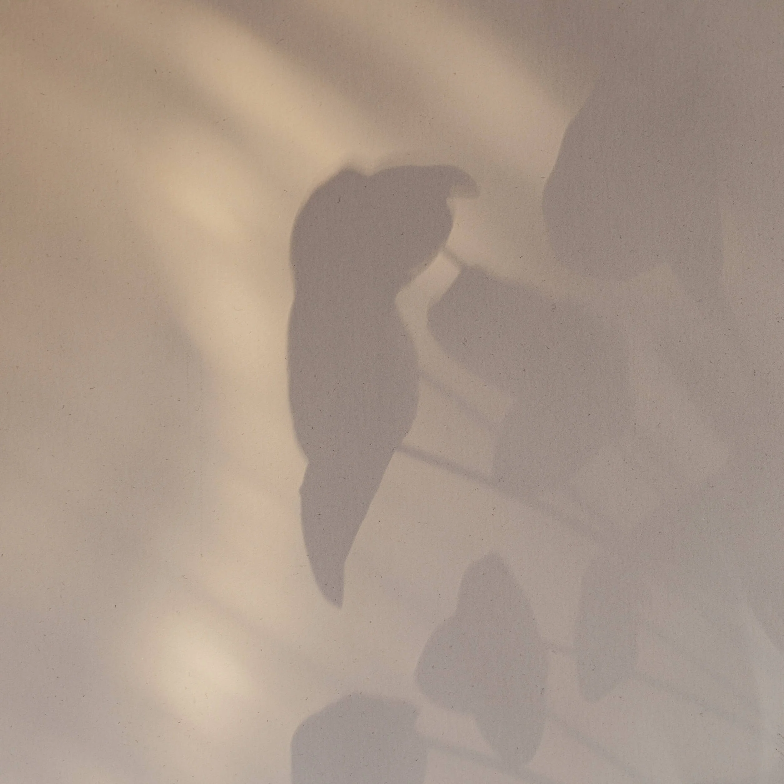 Journal supplies and a peaceful workspace